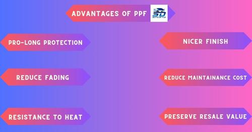 Car Paint Protection Film (PPF): Importance, Types and Advantagesimage